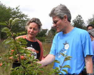 HICOP members Paul and Elaine examining a Bluntisham Perfection