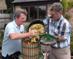 Filling the apple press